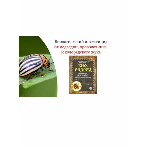 Био-Разряд средство от медведки , колорадского жука биологический инсектицид биоразряд 20г