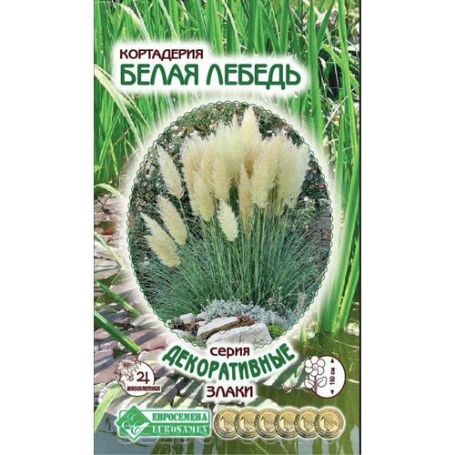 Кортадерия (пампасная трава) Белая Лебедь, 1 пакет, семена 0,05гр,+ Подробная рекомендация по агротехнике, ЕвроСемена