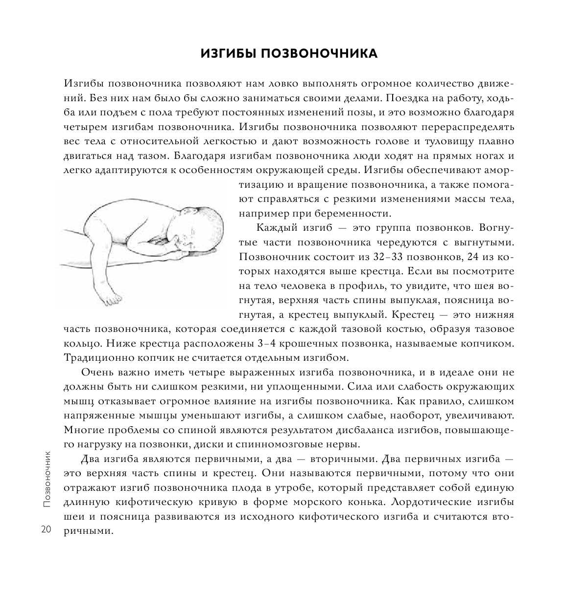 Йога-терапия. Руководство по укреплению мышц, борьбе с болью и последствиями травм - фото №14