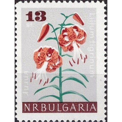 (1966-099) Марка Болгария Лилия тигровая Садовые цветы II Θ