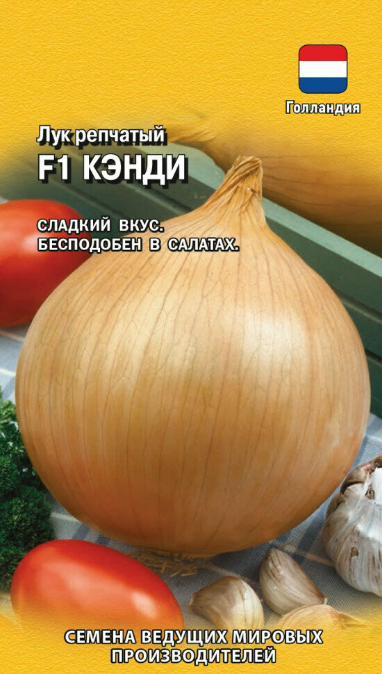 Гавриш Лук репчатый Кэнди F1 (Голландия) , 0,2 грамма