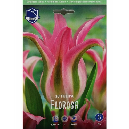 Тюльпан Флороса(Florosa), 10 шт