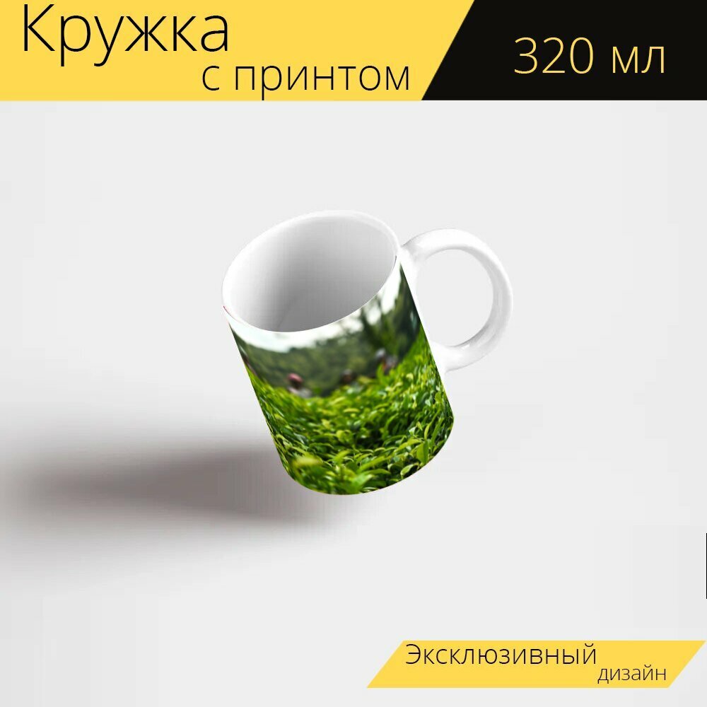Кружка с рисунком, принтом "Чай, листья, чайный сад" 320 мл.