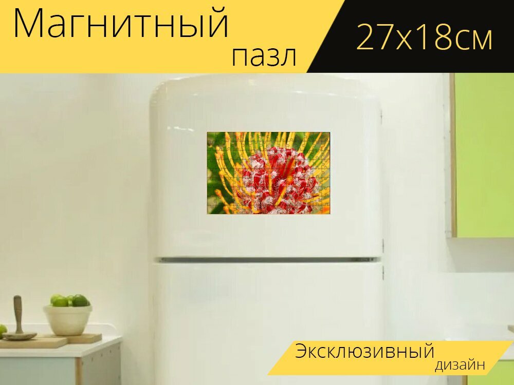 Магнитный пазл "Макрос, макросъемка, цвести" на холодильник 27 x 18 см.