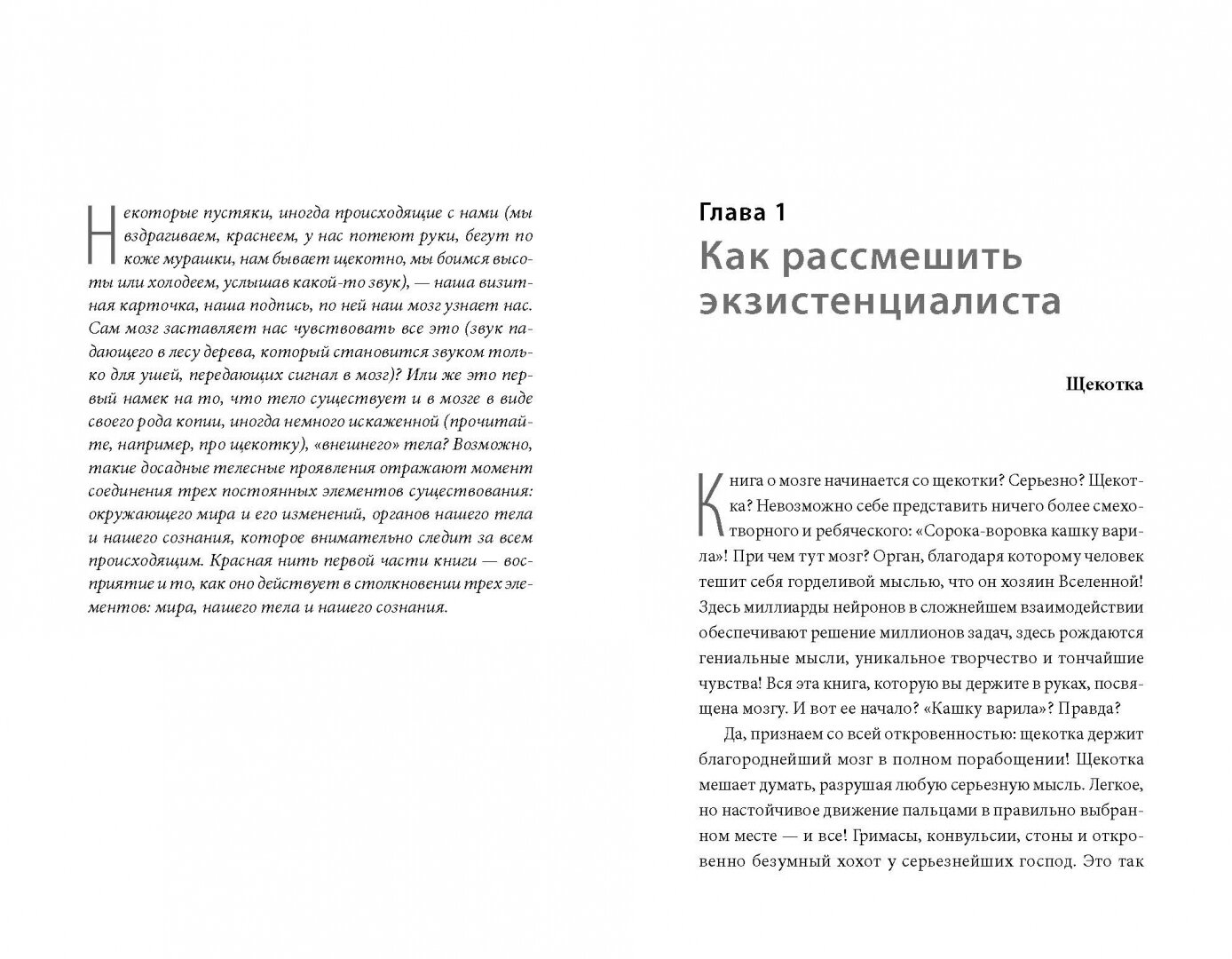 Теория щекотки. Что наше тело может рассказать о мозге - фото №2