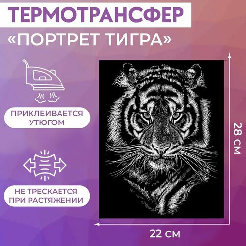 Термотрансфер Арт Узор Портрет тигра, 22х28 см