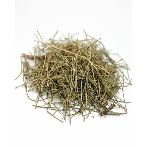 Кедр сушеные ветки и хвоя 10 гр - сухоцветы для свечей творчества и ритуалов 379₽