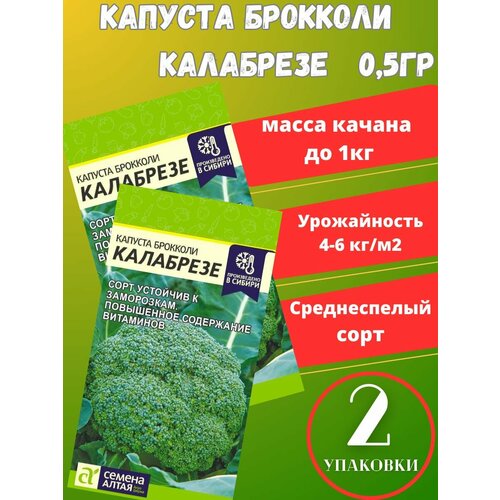 Семена Капуста Брокколи Калабрезе,2 упаковки семена капуста брокколи калабрезе 0 3 г урожай удачи