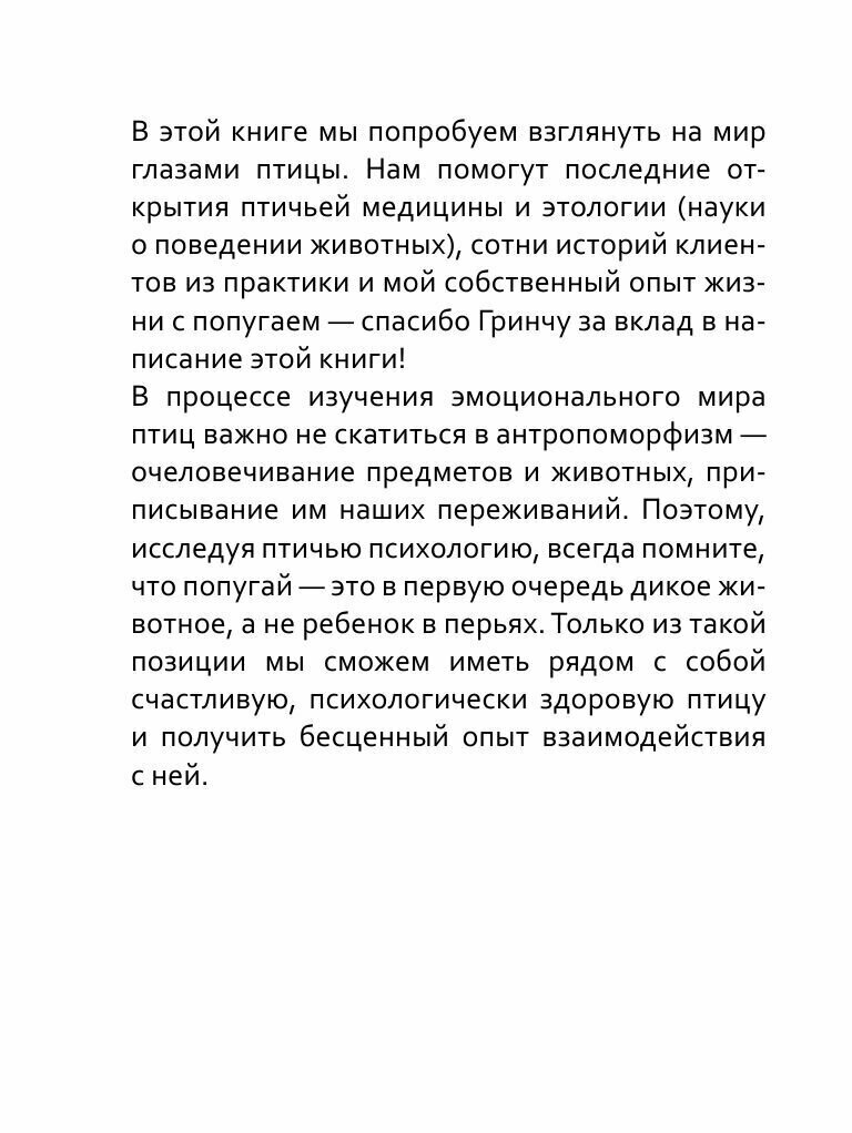 Давай поЧИРИКаем. Как понять язык попугая - фото №3