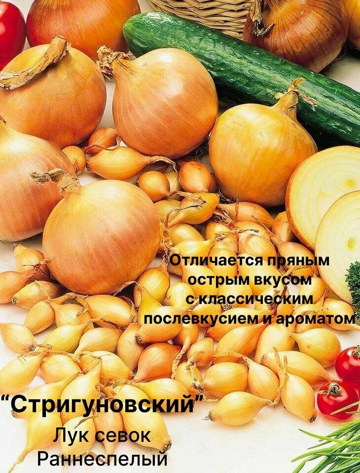 Лук севок "Стригуновский" 900 гр
