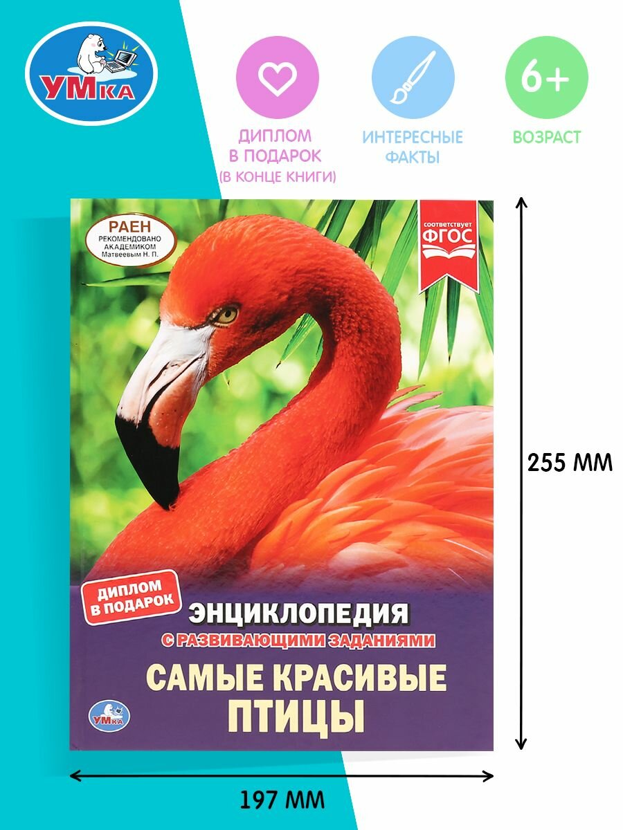 Пауки. 100 фактов. Энциклопедия А5.с развивающими заданиями. 48стр. Умка в кор.22шт - фото №13