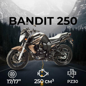 Мотоцикл дорожный Motoland BANDIT 250 коричневый