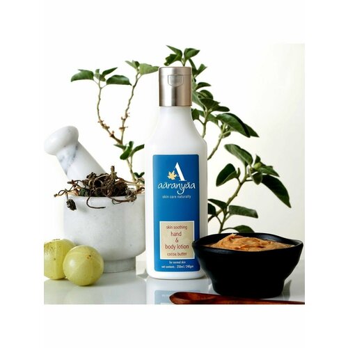 Лосьон для тела с маслом какао 250 мл 543₽