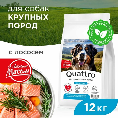 Quattro корм для взрослых собак крупных пород, полнорационный сбалансированный, с лососем 12 кг