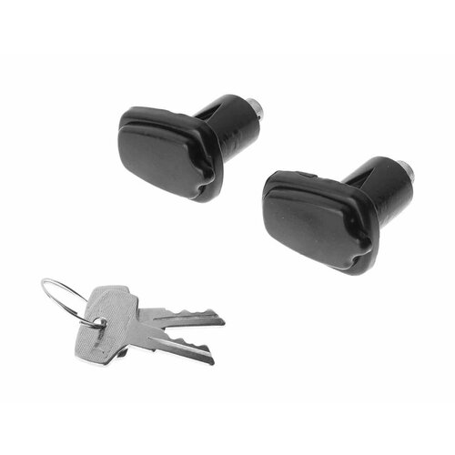 Личинка ГАЗ-3302 замка двери С/О в сборе комплект 2шт, 3302-6105080, автобоб