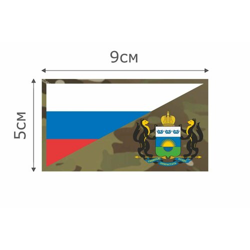 фото Ф072mc нашивка , патч (шеврон) mc флаг рф тюменская область 5*9 см character
