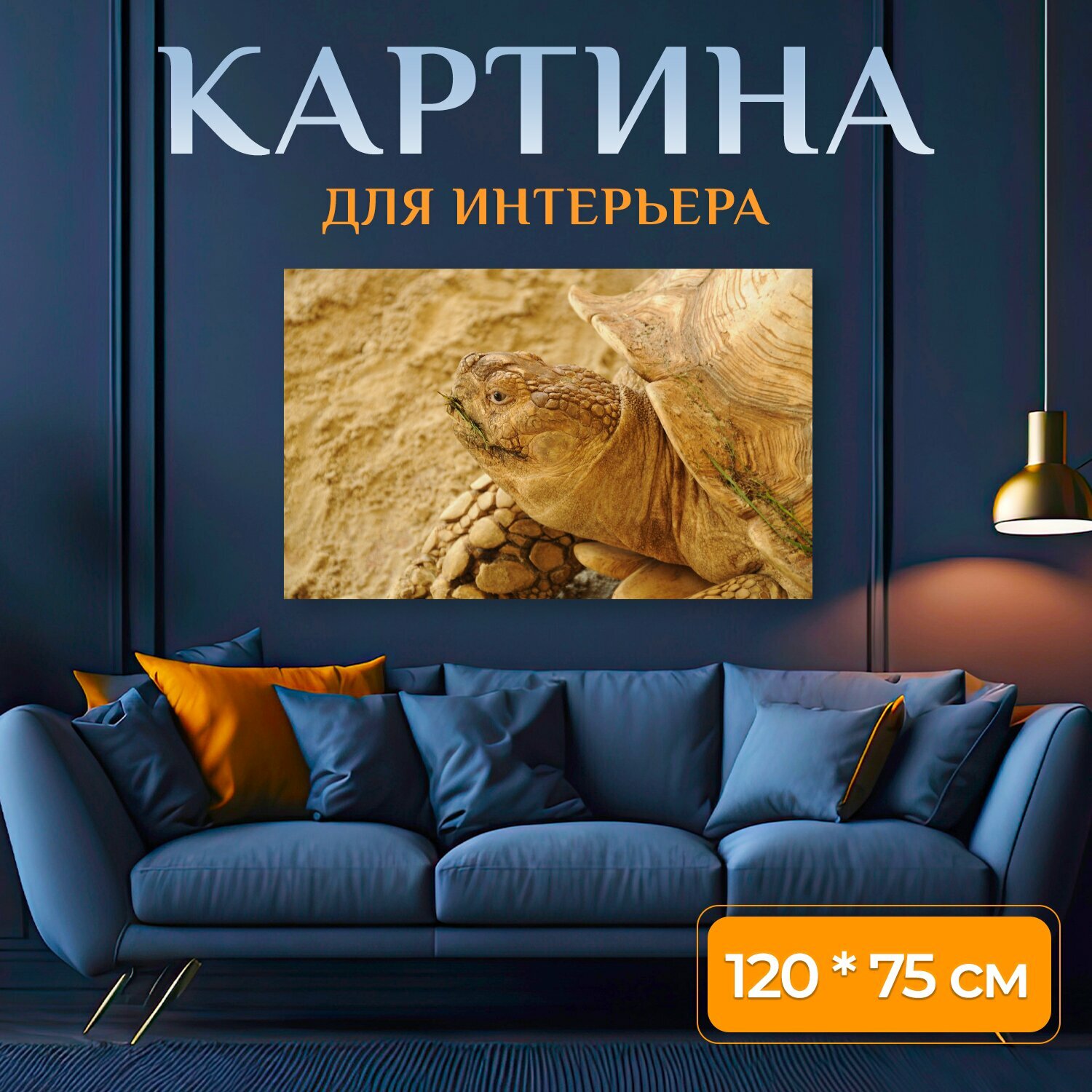 Картина на холсте "Черепаха, голова, закрывать" на подрамнике 120х75 см. для интерьера