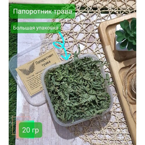 фото Трава сухоцвет папоротник 20 гр artwitch