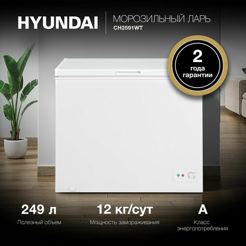 Морозильный ларь Hyundai CH2591WT белый 37371₽