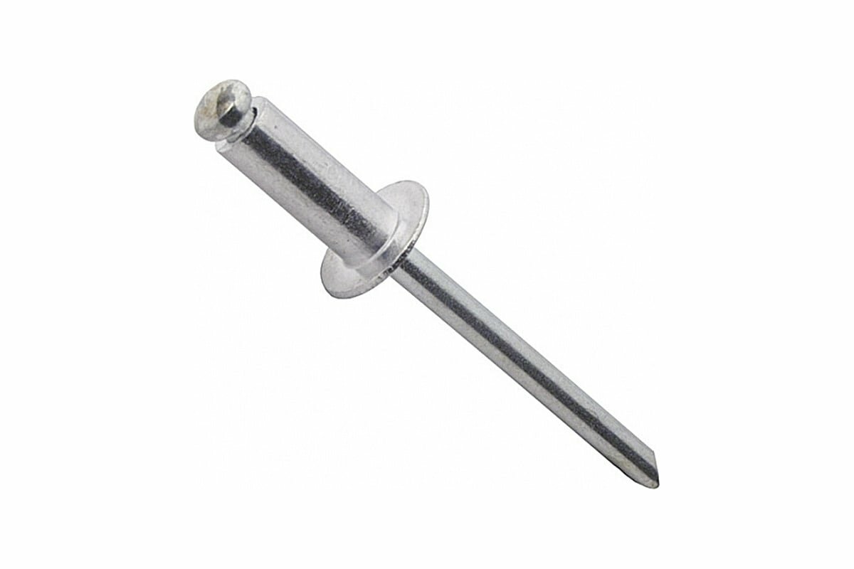SWFS Заклепка вытяжная комбинированная 4,8х10 1000шт тов-016966