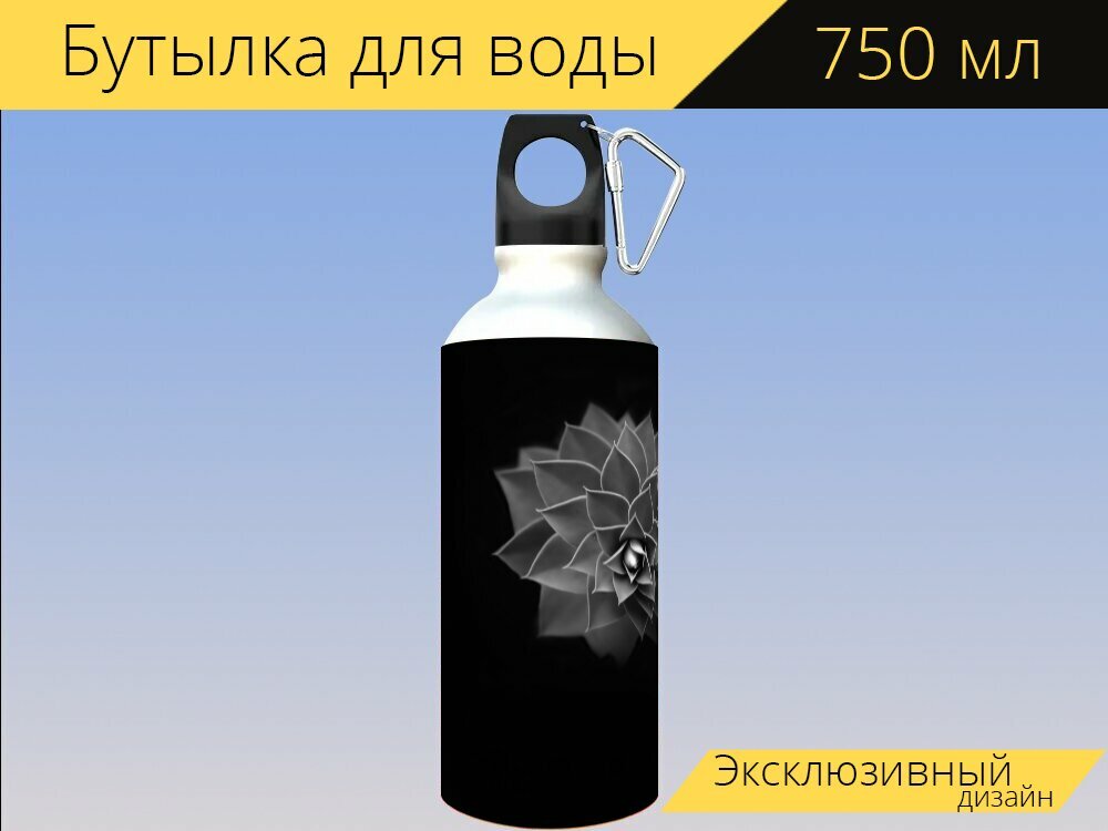 Бутылка фляга для воды "Вальцы молочай, sw, завод" 750 мл. с карабином и принтом