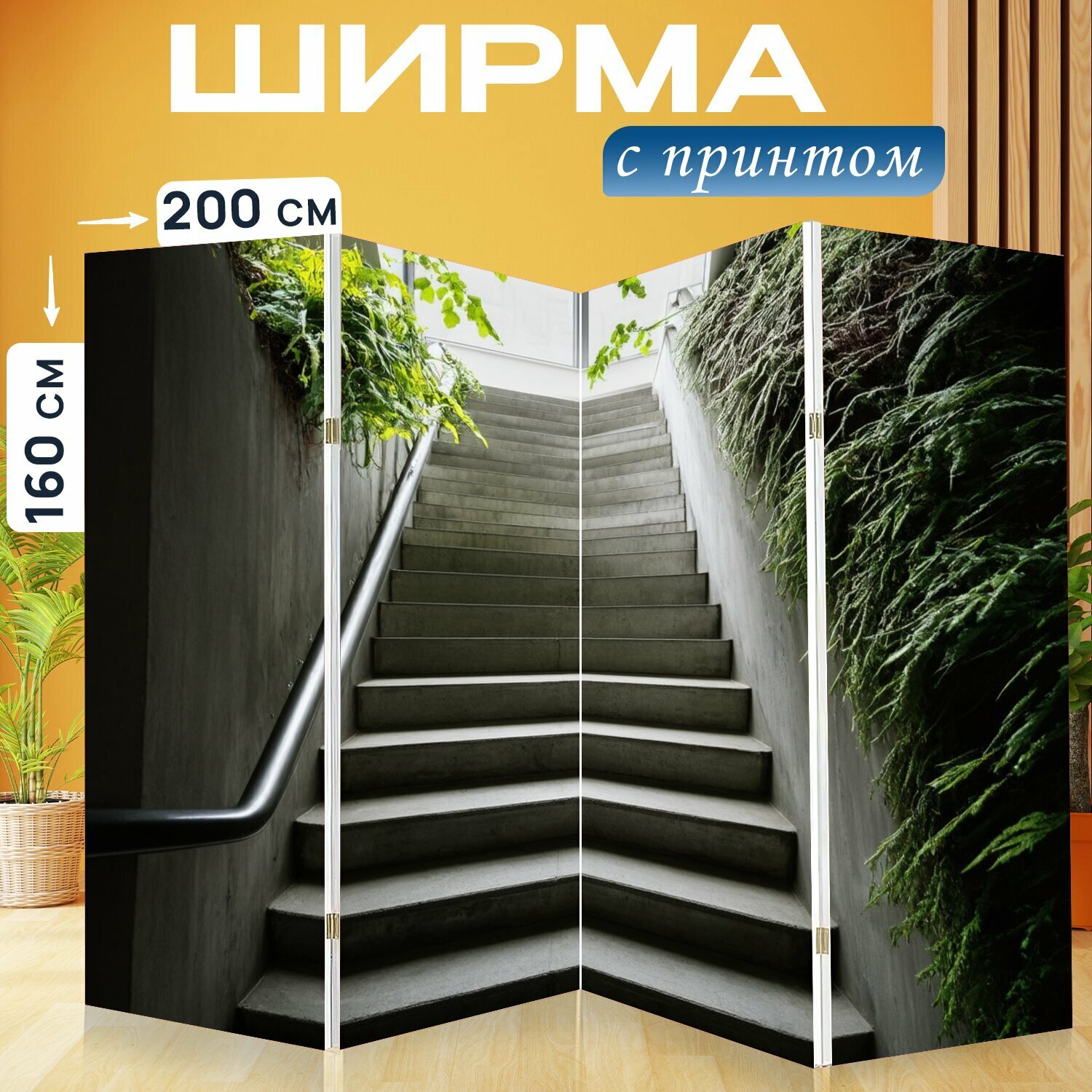 Ширма 