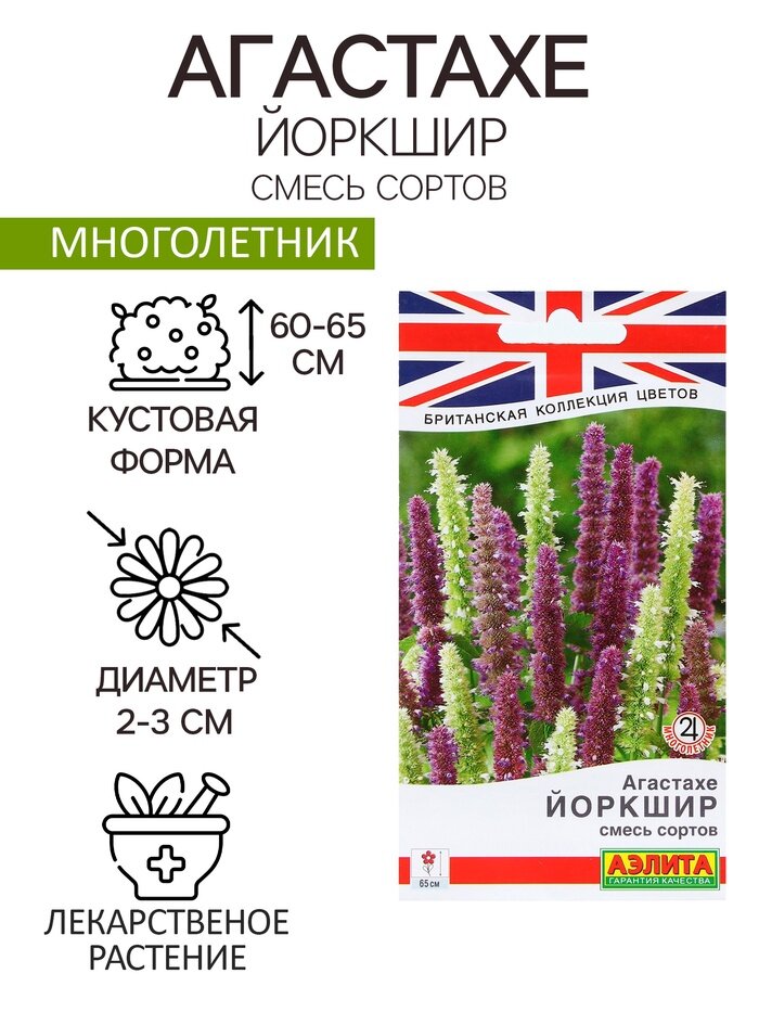 Семена Цветов Агастахе 