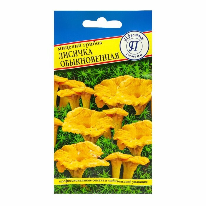 Мицелий грибов Лисичка обыкновенная 50 мл