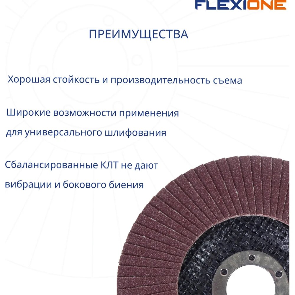 Круг лепестковый конический Flexione 125x22.2 мм, Р60 10000558 — фото 1