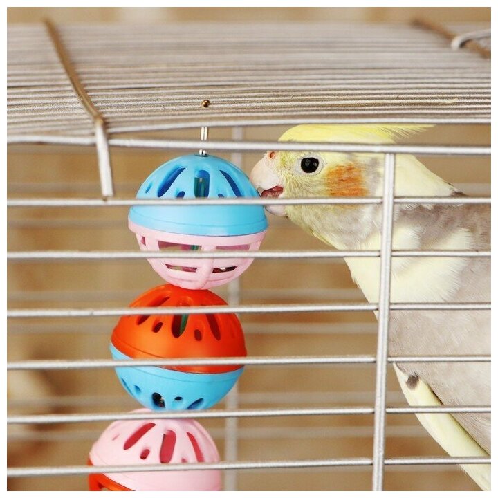 Зооник Игрушка для попугая "Забава" с 3 шариками, микс - фотография № 2