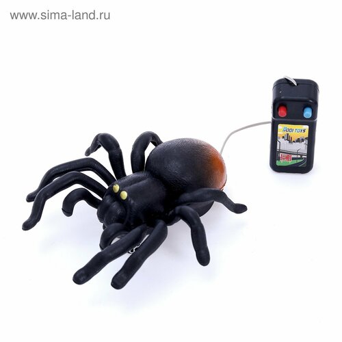 животное паук на дистанционном управлении работает от батареек цвета микс Животное Паук, на дистанционном управлении, работает от батареек, цвета микс