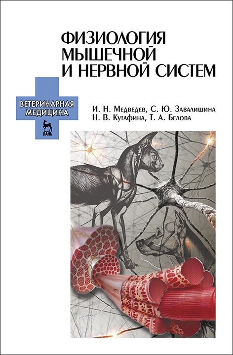 Физиология мышечной и нервной систем. Учебное пособие - фото №2