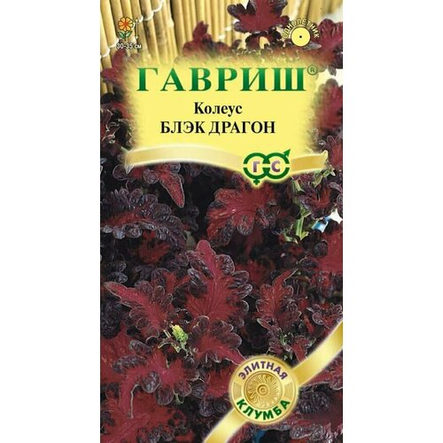 Колеус Блэк Драгон 5шт Гавриш тюльпан драгон кинг многоцветковый 5шт