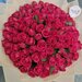 Розы Кения 101 шт красные в кремовой упаковке 37 см арт 12131