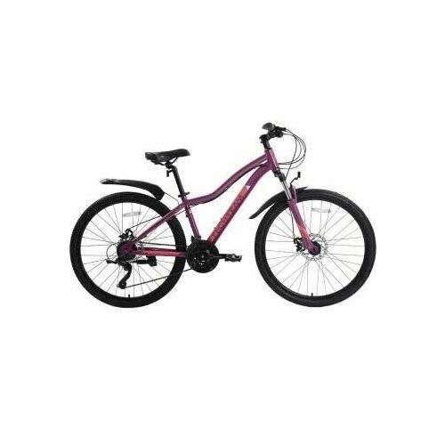 Велосипед женский Tech Team Delta 26 2022 рама 14 тёмно-розовый 2290000₽
