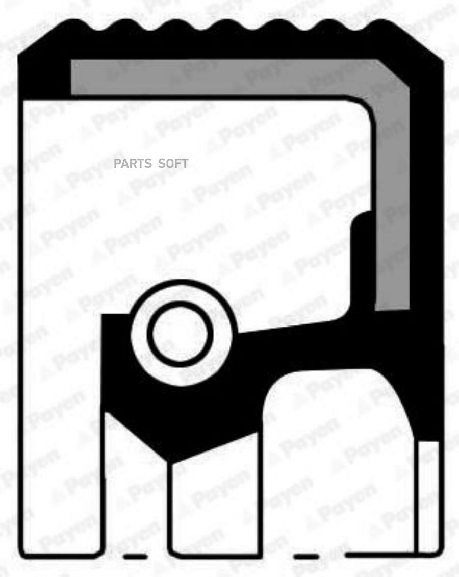 NF835_сальник к/в задний! 80x100x8\ Renault Megane/Kangoo/Laguna/Clio, Dacia Logan 1.4/1.6 96> PAYEN / арт. NF835 - (1 шт)