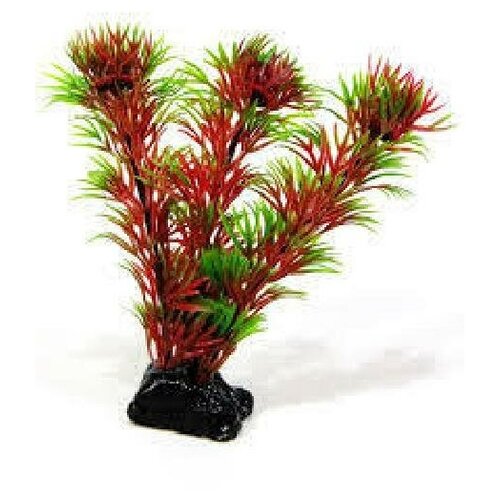 Растение Кабомба красно-зелёная пластик 34см растение лисимахия зелёная пластик 34см