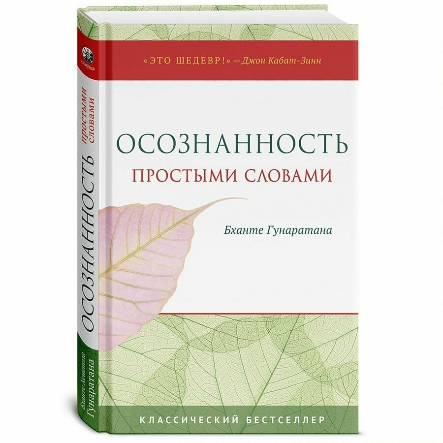 Осознанность простыми словами (Бханте Гунаратана) - фото №2