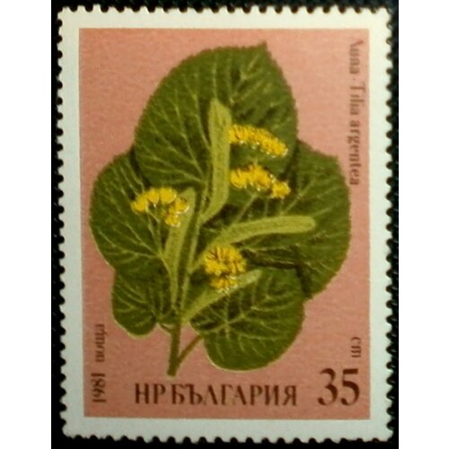 (1981-008) Марка Болгария Липа  Лекарственные растения II Θ