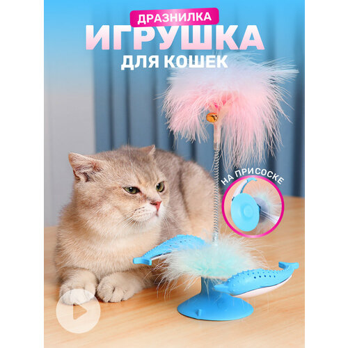 Дразнилка на присоске "Дельфины", игрушка для кошек