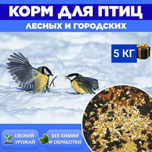 корм для лесных и уличных птиц nestingbox 600 гр Корм для лесных, уличных и домашних птиц