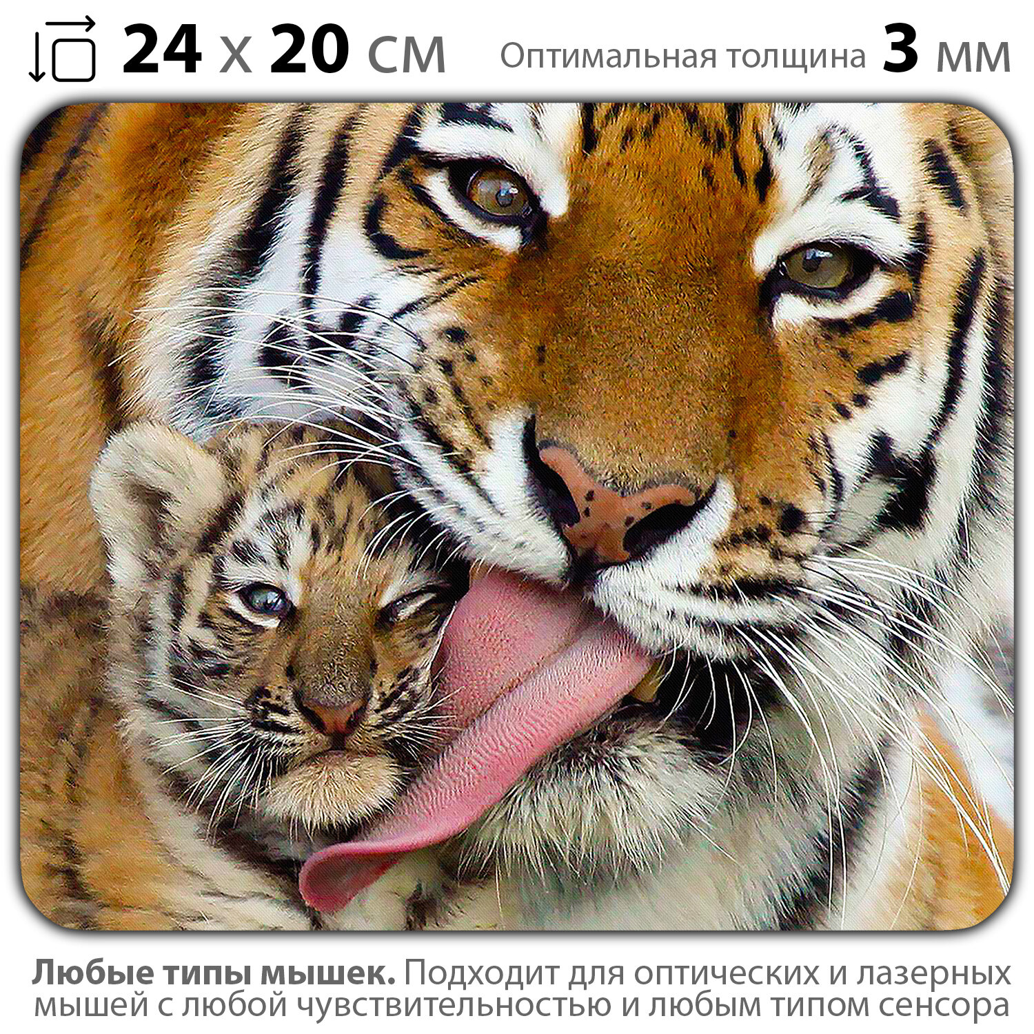 Коврик для мыши "Тигрица с тигрёнком" (24 x 20 см x 3 мм)