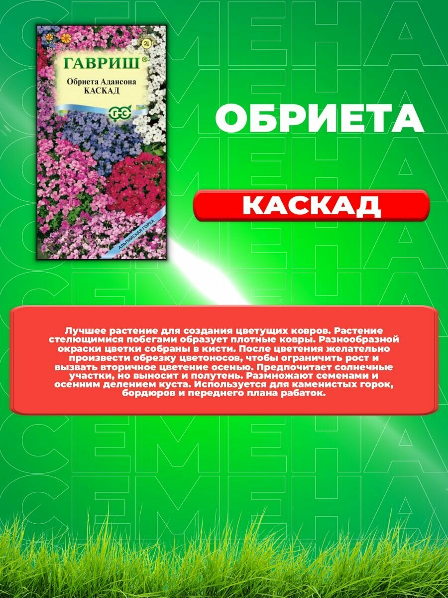 Обриета Адансона Каскад смесь 0,05г, Альпийская горка