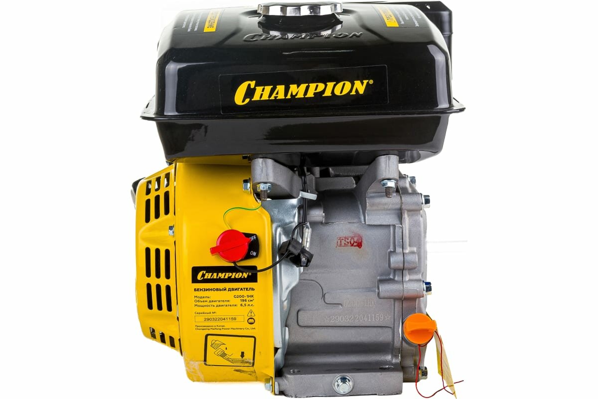 Двигатель Champion - фото №19