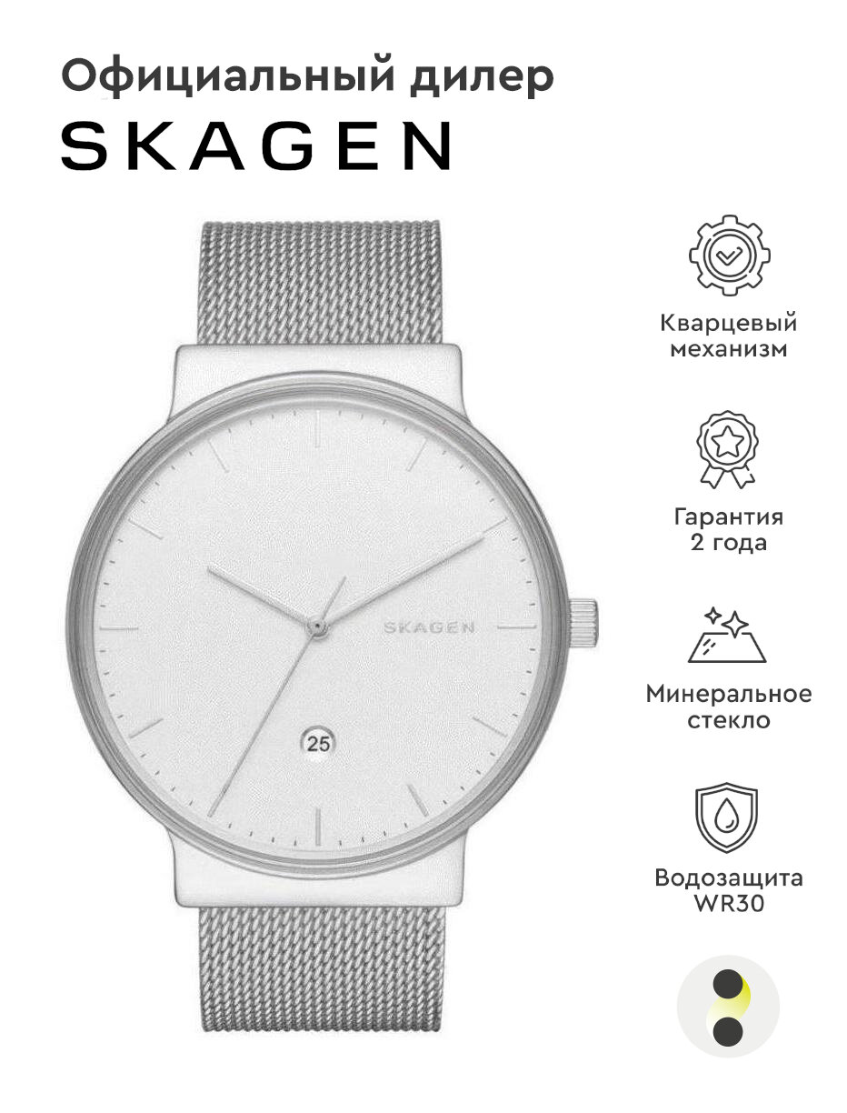 Наручные часы SKAGEN