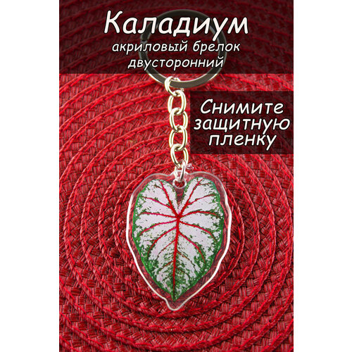 Брелок, глянцевая фактура, белый, зеленый