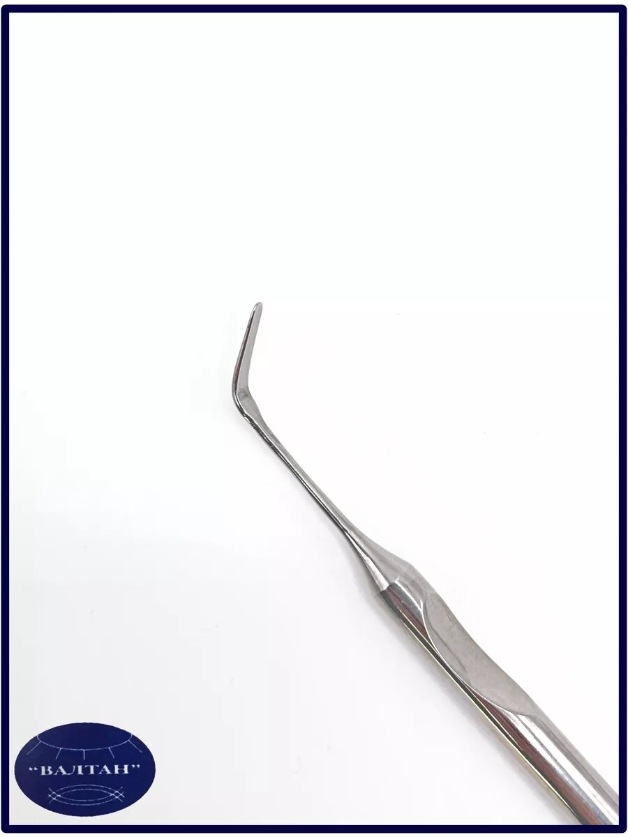 Гладилка серповидная — фото 1