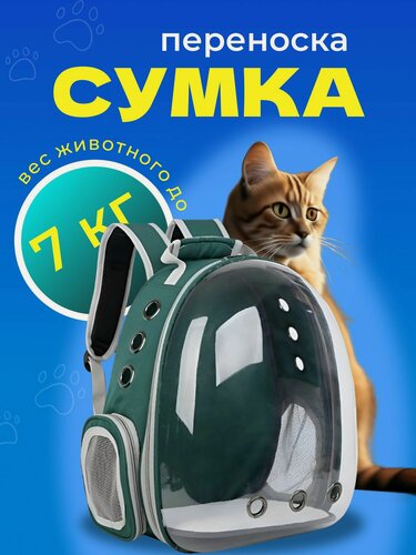 Изображение товара Рюкзак переноска для собак и кошек с иллюминатором, ранец для животных с панорамным видом зеленый