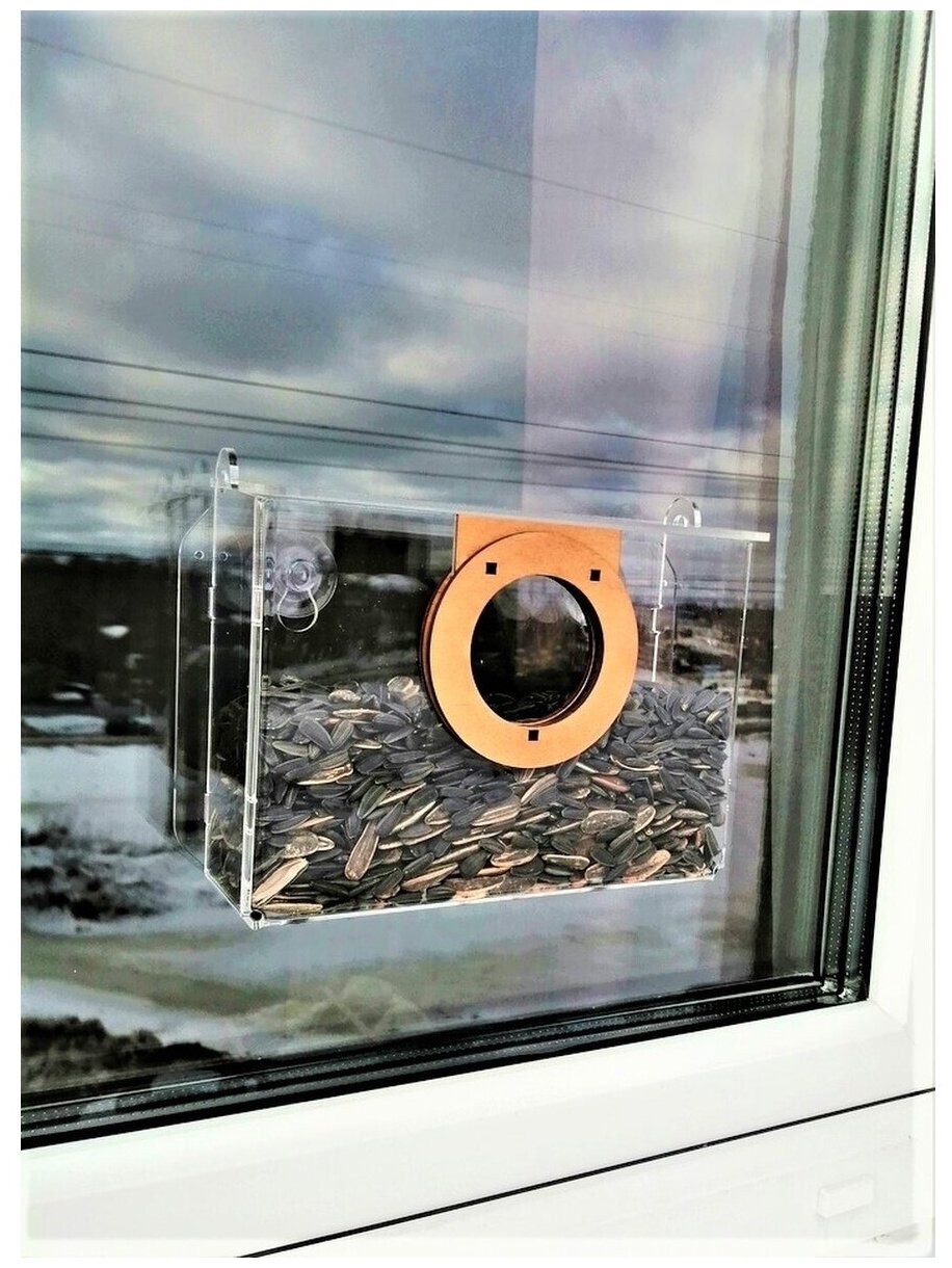 Кормушка для птиц прозрачная на окно (антиголубь) - фотография № 3