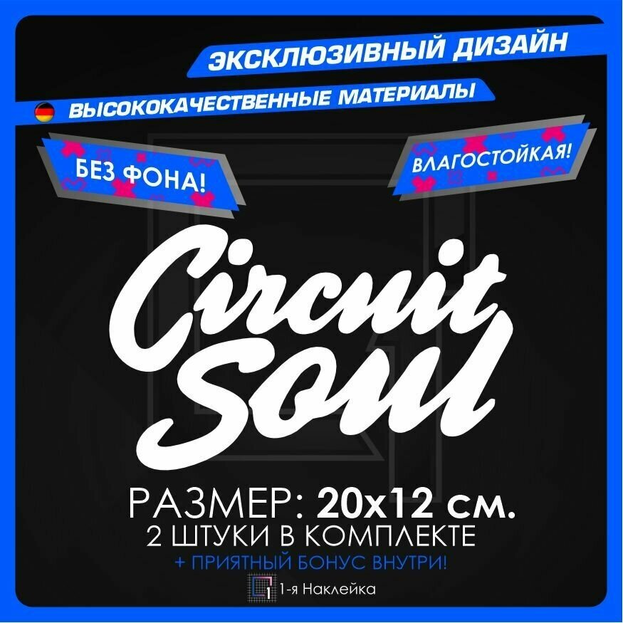 Наклейки на автомобиль Circuit Soul 20х12см 2шт